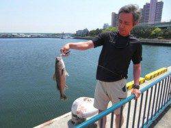 復活の兆し!!　泉大津店２５日お昼のＲＴ