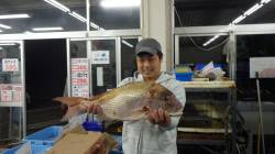 堺漁港　カゴ釣りでマダイ64cm＆口太グレ…