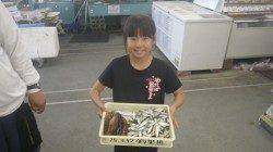 埴田堤防でサビキ　豆アジ＆ガシラ