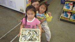 将来は立派な釣りガール！芳養漁港でサビキ釣り