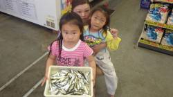 将来は立派な釣りガール！芳養漁港でサビキ釣…