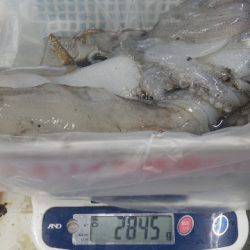 アタリがしぶい中の２．８Kgはお見事！！