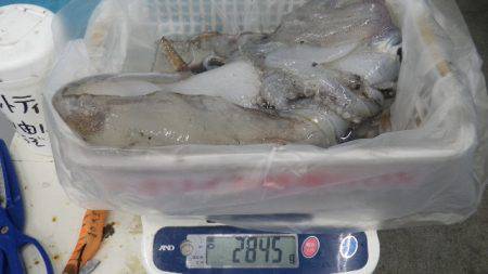 アタリがしぶい中の２．８Kgはお見事！！