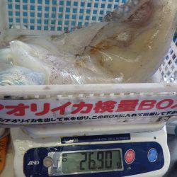 天神崎 ヤエンでアオリイカ〜2.69kg