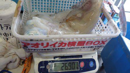 天神崎 ヤエンでアオリイカ〜2.69kg