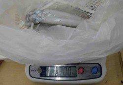 串本萩尾　エギングで明け方にアオリイカ〜1200g3バイ