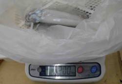 串本萩尾　エギングで明け方にアオリイカ〜1…