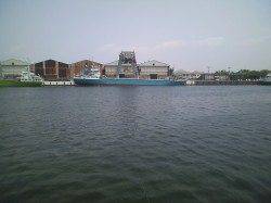 南港エビ撒き釣果☆三度目の正直☆