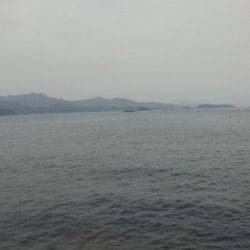 太地くじら浜公園でのエギング釣果、夕方にヒット！