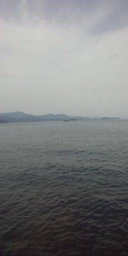 太地くじら浜公園でのエギング釣果、夕方にヒット！