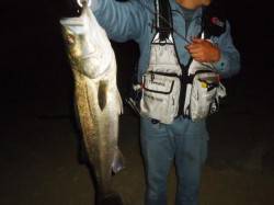 貝塚　同行の釣友がルアーでシーバス75＆6…