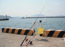 小浜港 サビキで稚鮎80匹　他、イワシ、ハゼなど