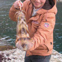 雑賀崎 今年初のエギング釣行でアオリイカ＆コウイカ