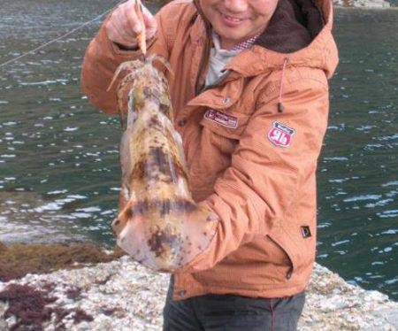 雑賀崎 今年初のエギング釣行でアオリイカ＆…