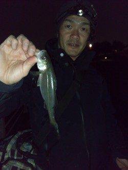 大阪南港 満潮からの下げ潮狙いのメバリングでメバル24.5cm