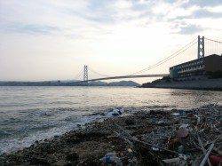 松帆の浦で投げ釣り、マコガレイが朝2投目にヒット！