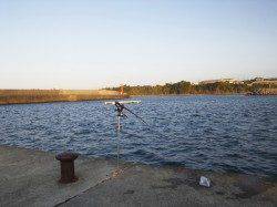 印南港　ヤエンでコウイカ800g☆