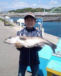 KIDS釣果、イワシののませ釣りでスズキ78cm！！