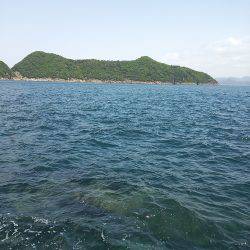 衣奈の地磯、風が強い中アオリイカGET★