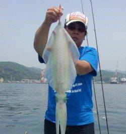 由良北部エリア、デイエギングでアオリ3杯！！