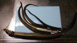 林崎漁港　19時からの投げ釣りでアナゴ5匹＆ガシラ15cm