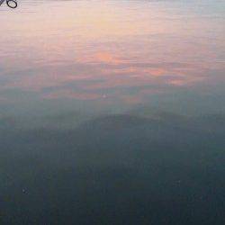 貝塚エリア、夕方〜夜にかけてのシーバス釣果