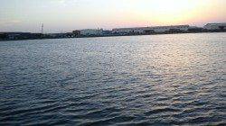 貝塚　バチパターンを読みシーバス1本ゲット