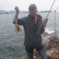 湯浅の磯でのヤエン釣り釣果