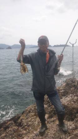 湯浅の磯でのヤエン釣り釣果