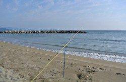 由良川河口　10年ぶりにサーフの投げ釣りでキス4匹