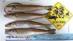 炬口　投げ釣りでキス〜20cm4匹☆