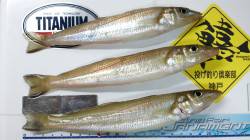 炬口で何とかお持ち帰りサイズのキス３匹GE…