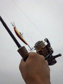 豊岡エリア、雨の中のシーバス釣果