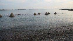 南塩谷　カニのルアーで良型タコ☆