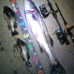 津居山港　メバリングでメバル＆ルアーでシーバス！