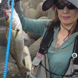 淀川河口　小型ながらもデイシーバス見事にキャッチ☆