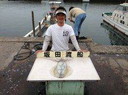 初めての渡船、沖磯でエギング、2キロアップのアオリ♪