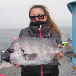 つり公園シモツピアーランド 投げ釣りで石鯛やキスなどの好釣果☆