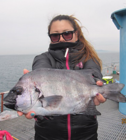つり公園シモツピアーランド 投げ釣りで石鯛…