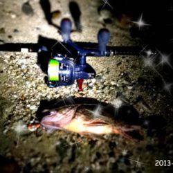 アジュール舞子 底をズル引きでガシラ4匹