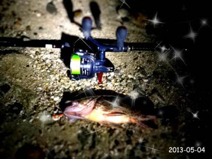 アジュール舞子 底をズル引きでガシラ4匹