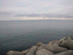 貝塚　アジングでアジ7匹・メバル2匹　ヒットカラーはクリアラメ