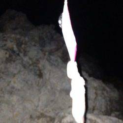 太地港　エギングで710gのアオリイカ＆イイダコ