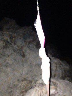 太地港　エギングで710gのアオリイカ＆イイダコ