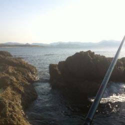 穴釣りで珍味のギンポが釣れました！夕日港