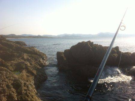 穴釣りで珍味のギンポが釣れました！夕日港