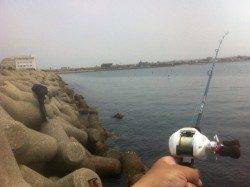 東二見人工島 テトラを探り釣り、ガシラ&アイナメ