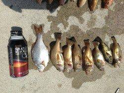 東二見人工島へ〜胴突きでアイナメとメバル大漁〜