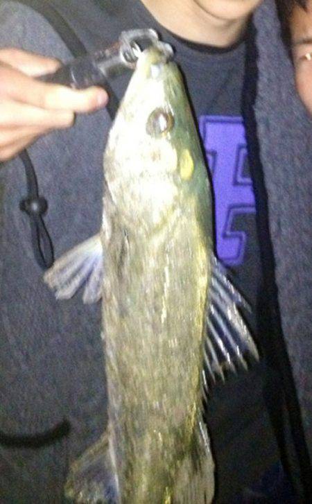 助松埠頭 ルアーでシーバス狙い　表層でのア…