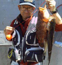 アイナメにアコウ、シラサで根魚！旧の赤灯台